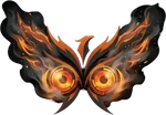 Caligo Dynamics